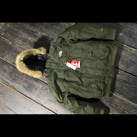 The north face winter coat